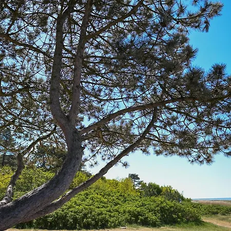 Dom wakacyjny Sleep Space 2 - Tiny Spot Wernerwald